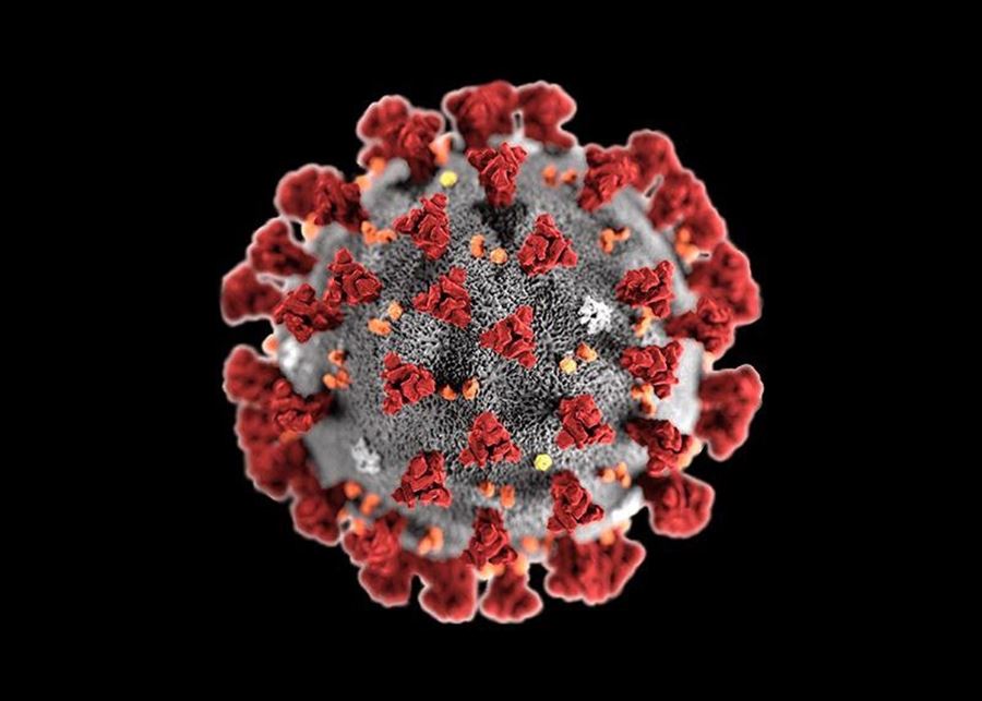 China recorded 28,062 new coronavirus infections